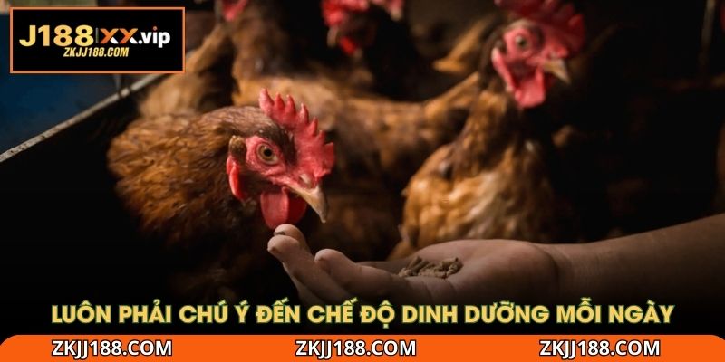 Luôn phải chú ý đến chế độ dinh dưỡng mỗi ngày