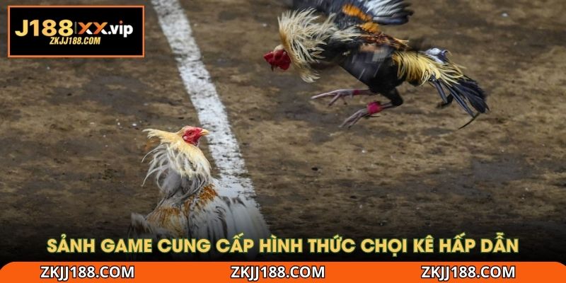 Sảnh game cung cấp hình thức chọi kê hấp dẫn